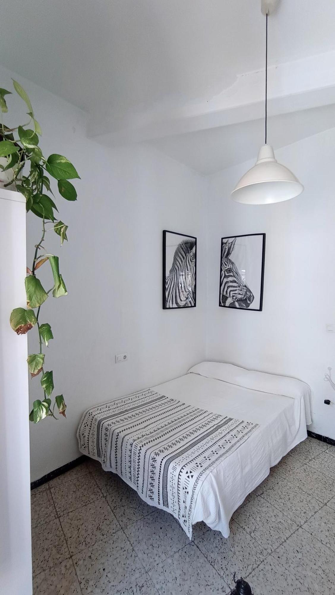 Preciosa Habitacion En Pleno Centro De Sevilla Ideal Para Hacer Turismo Y Vivir La Ciudad Eksteriør billede